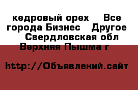 кедровый орех  - Все города Бизнес » Другое   . Свердловская обл.,Верхняя Пышма г.